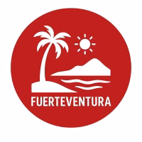 Instagram Icons erstellen mit KI - Dein schneller Weg zu professionellen Instagram‑Icons 2 Fuerteventura Insel Logo mit Palme, Sonne und Berg im Webdesign.
